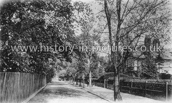The Avenue, Braintree, Essex. c.1904